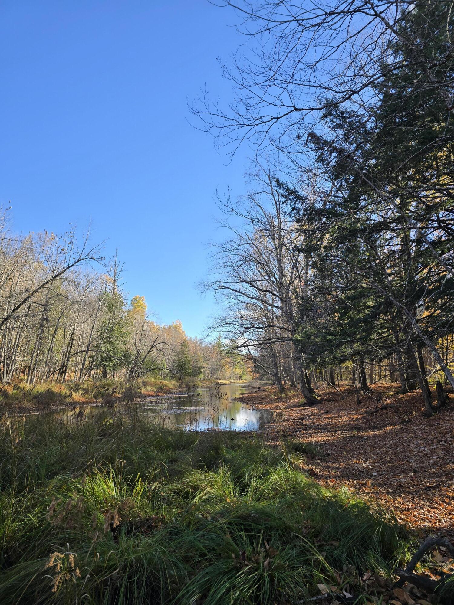 L49,50,53 Back Road Abbot ME 04406