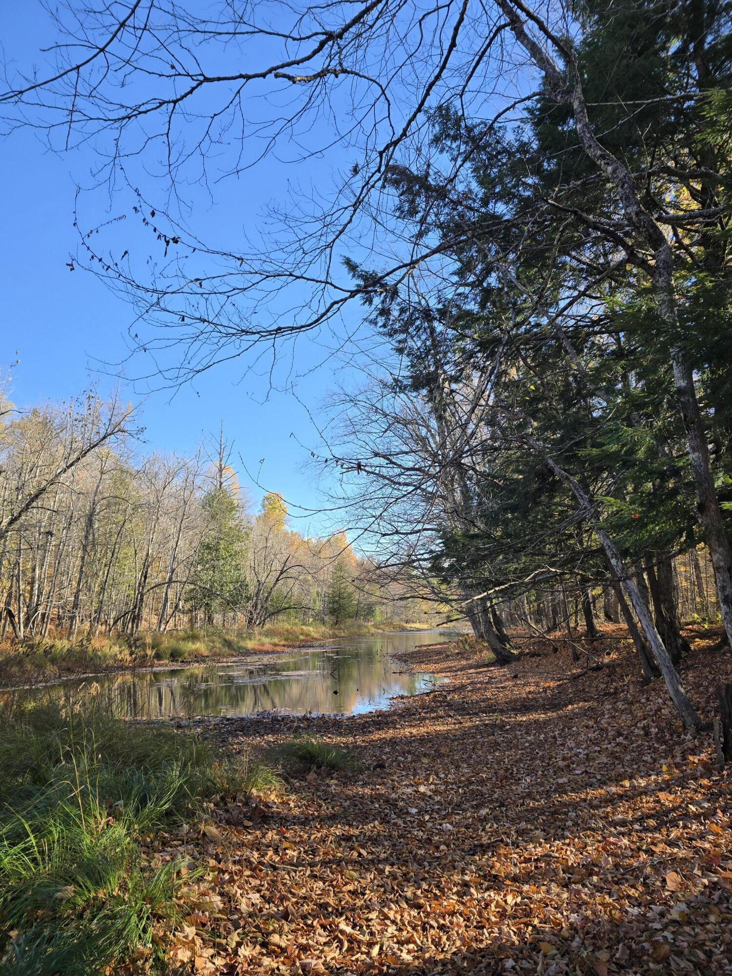 L49,50,53 Back Road Abbot ME 04406