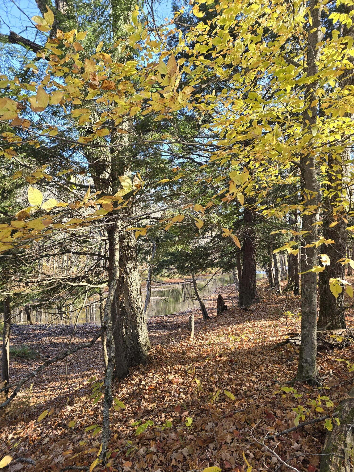 L49,50,53 Back Road Abbot ME 04406