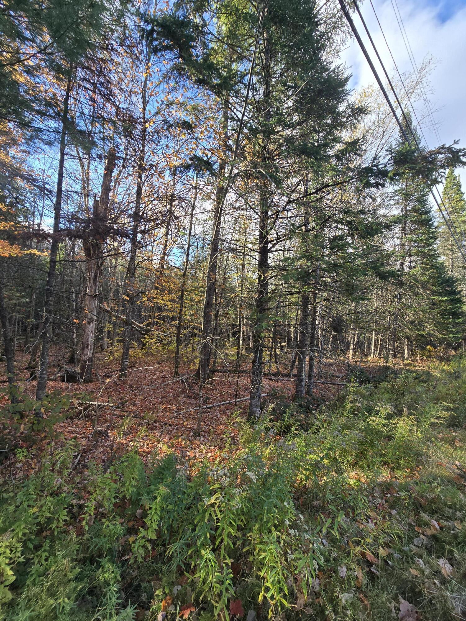 L49,50,53 Back Road Abbot ME 04406