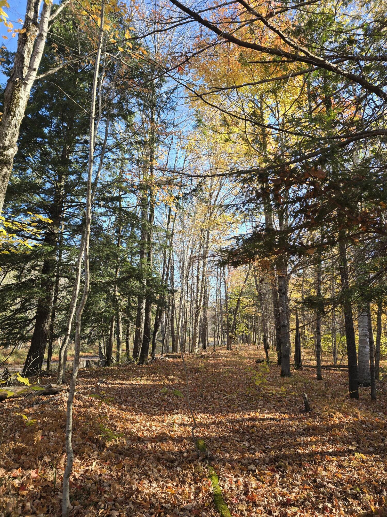 L49,50,53 Back Road Abbot ME 04406