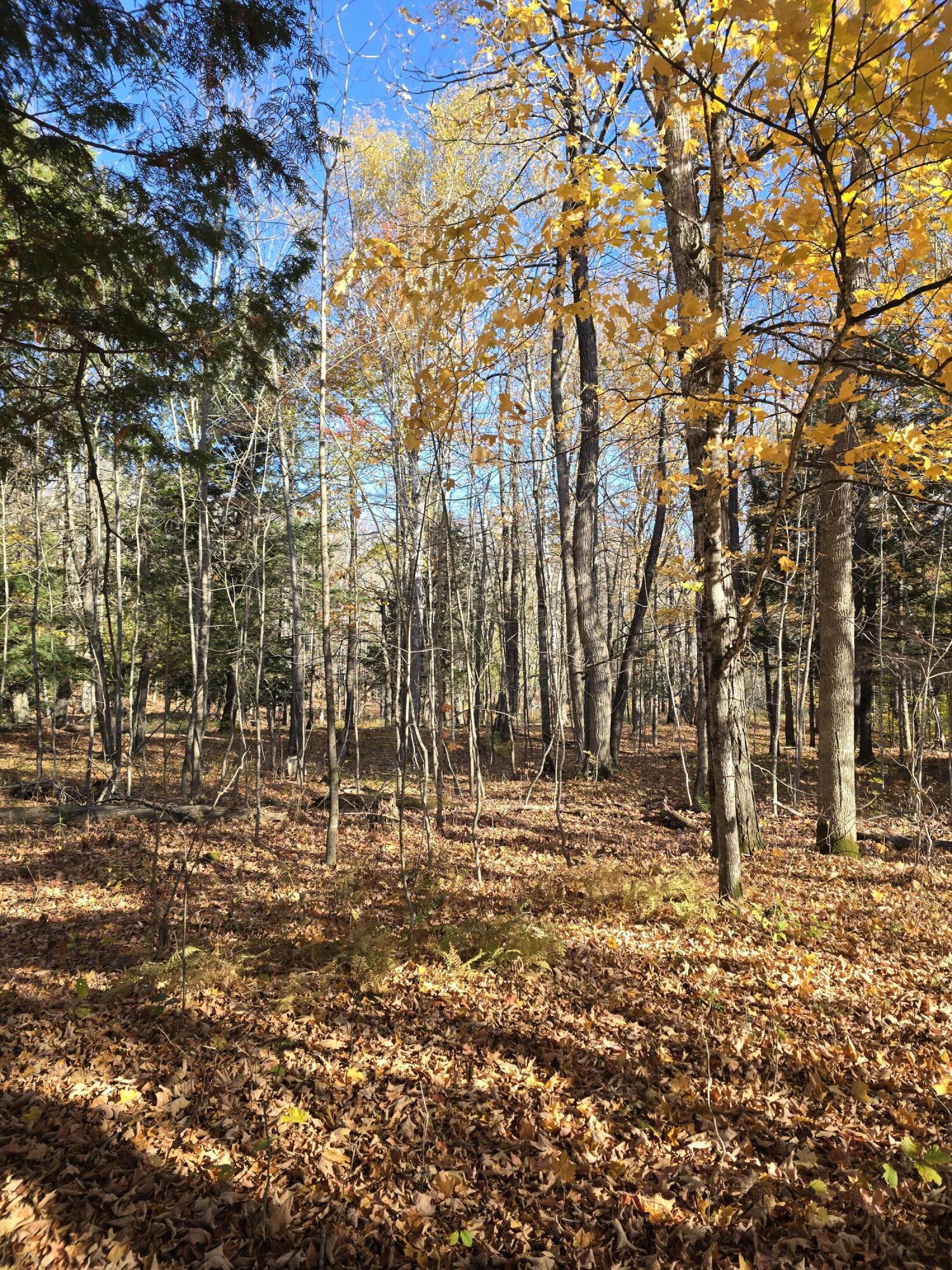 L49,50,53 Back Road Abbot ME 04406