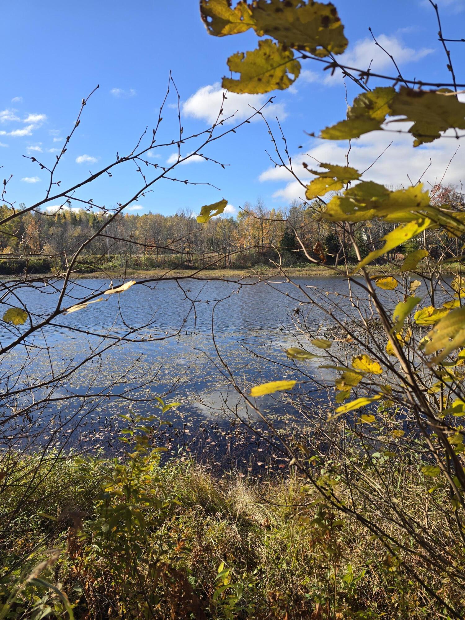 L49,50,53 Back Road Abbot ME 04406