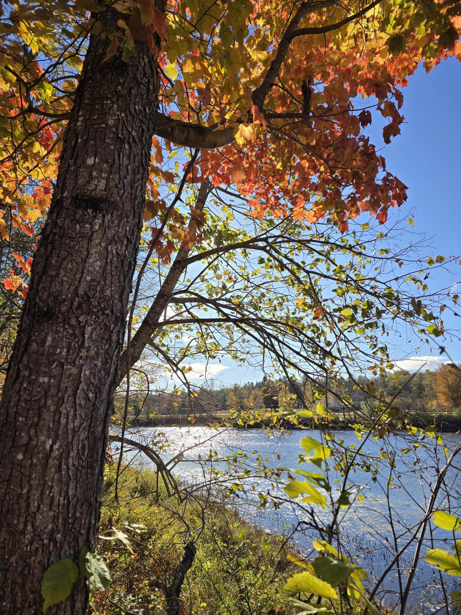 L49,50,53 Back Road Abbot ME 04406