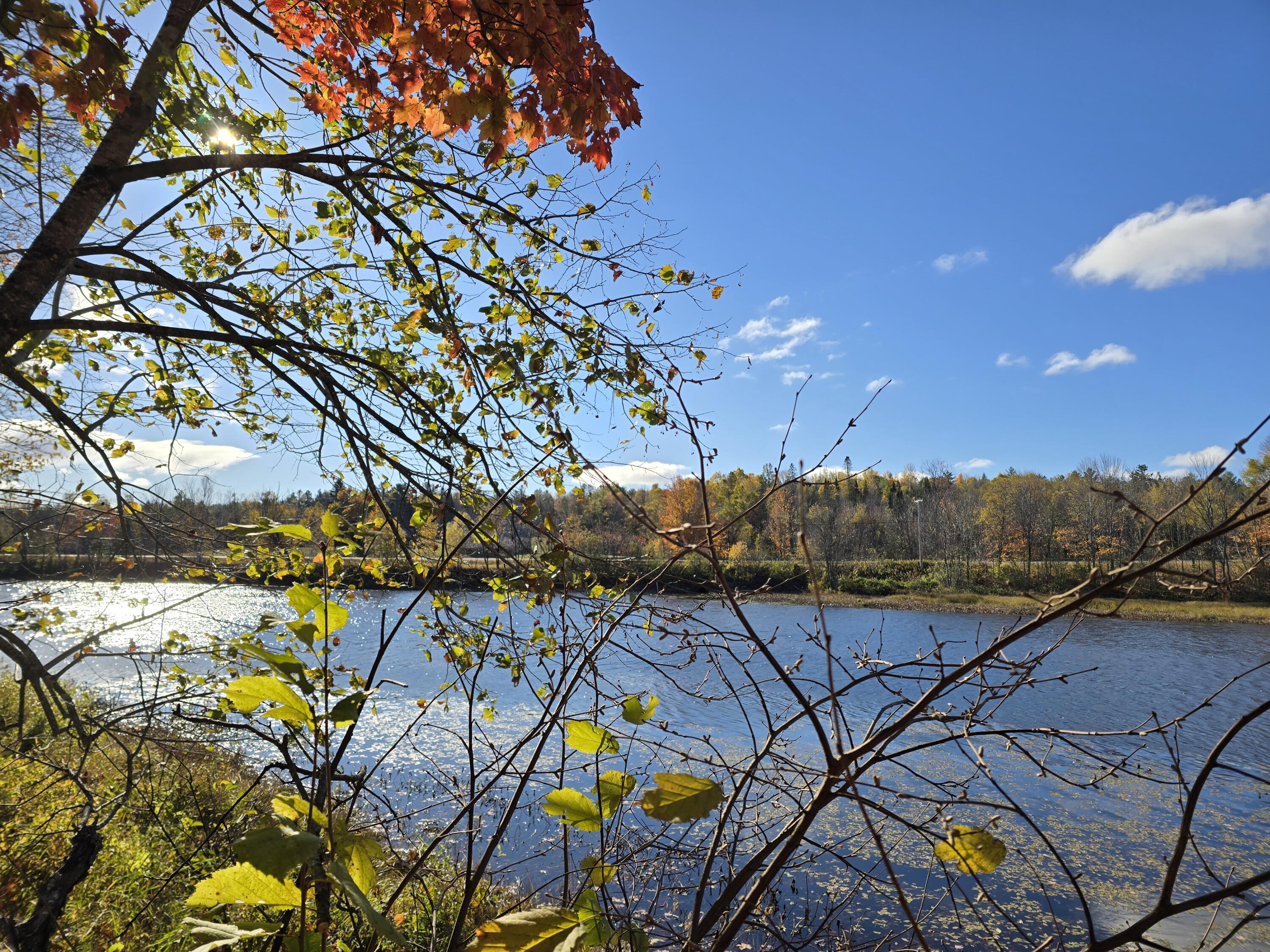 L49,50,53 Back Road Abbot ME 04406