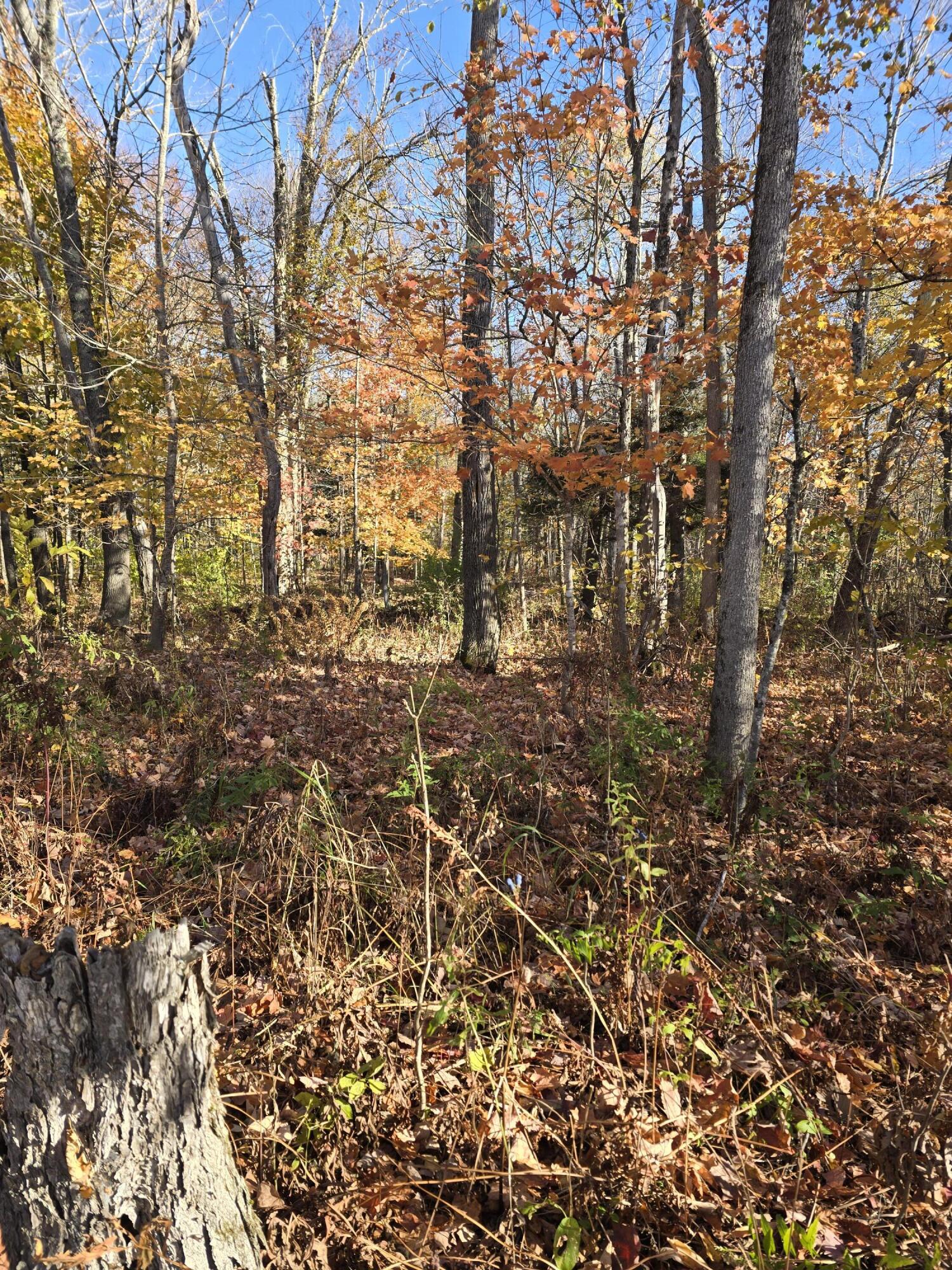 L49,50,53 Back Road Abbot ME 04406