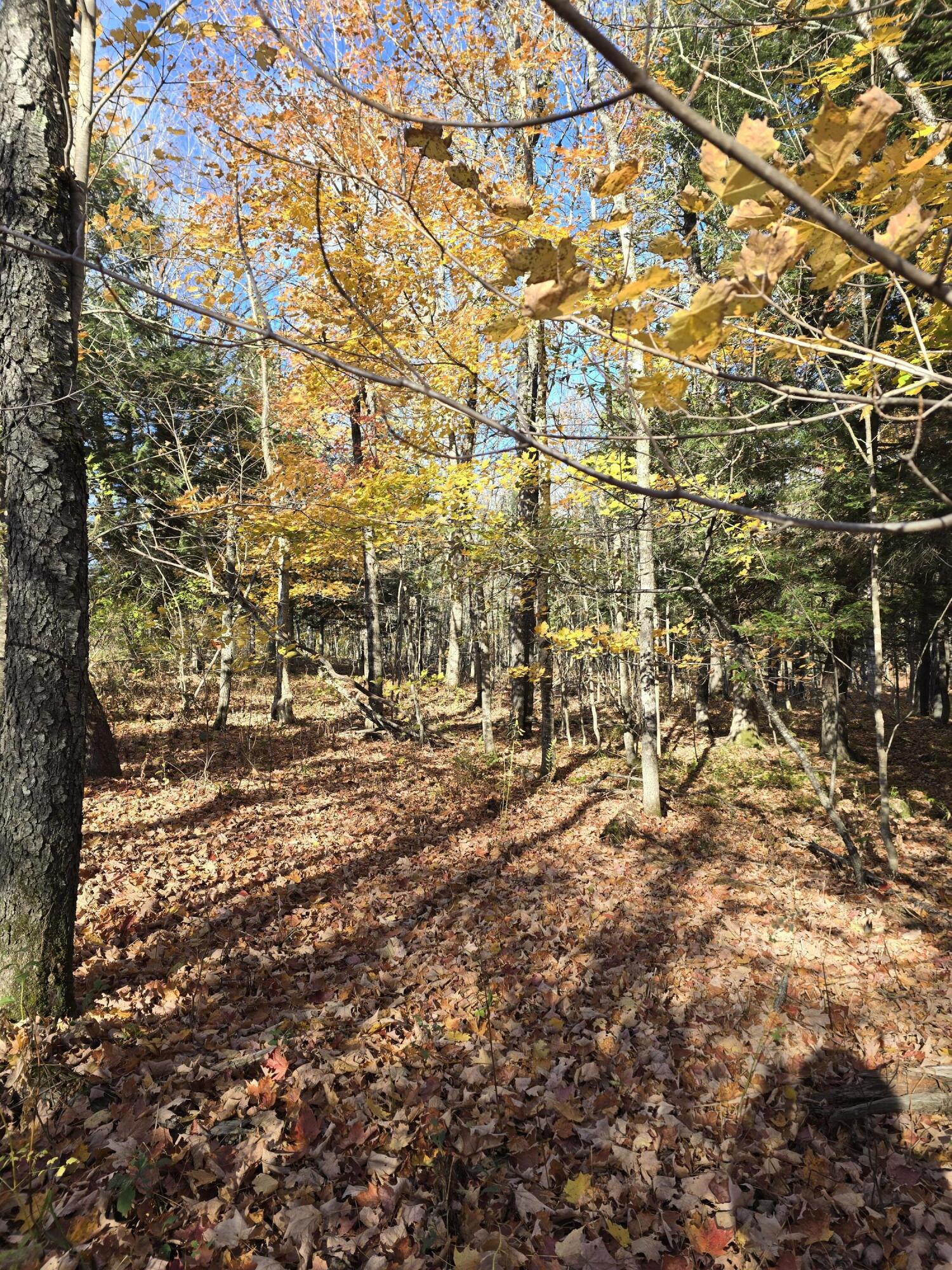 L49,50,53 Back Road Abbot ME 04406