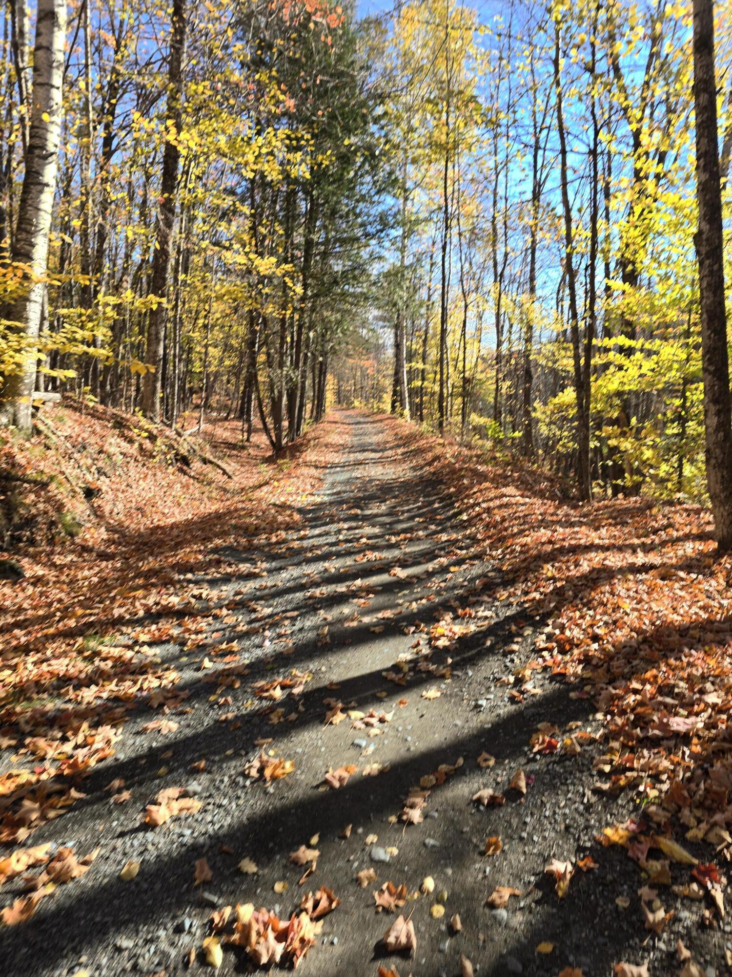 L49,50,53 Back Road Abbot ME 04406