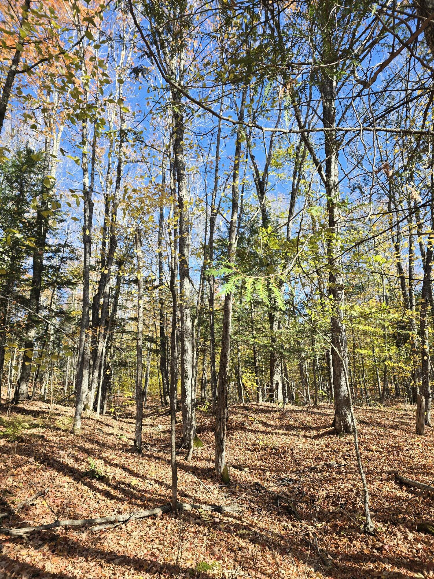 L49,50,53 Back Road Abbot ME 04406