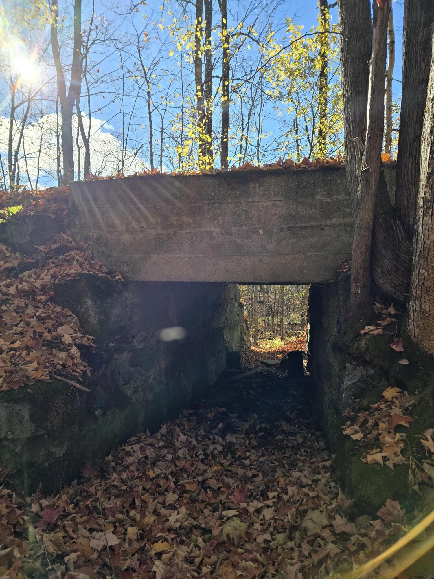 L49,50,53 Back Road Abbot ME 04406