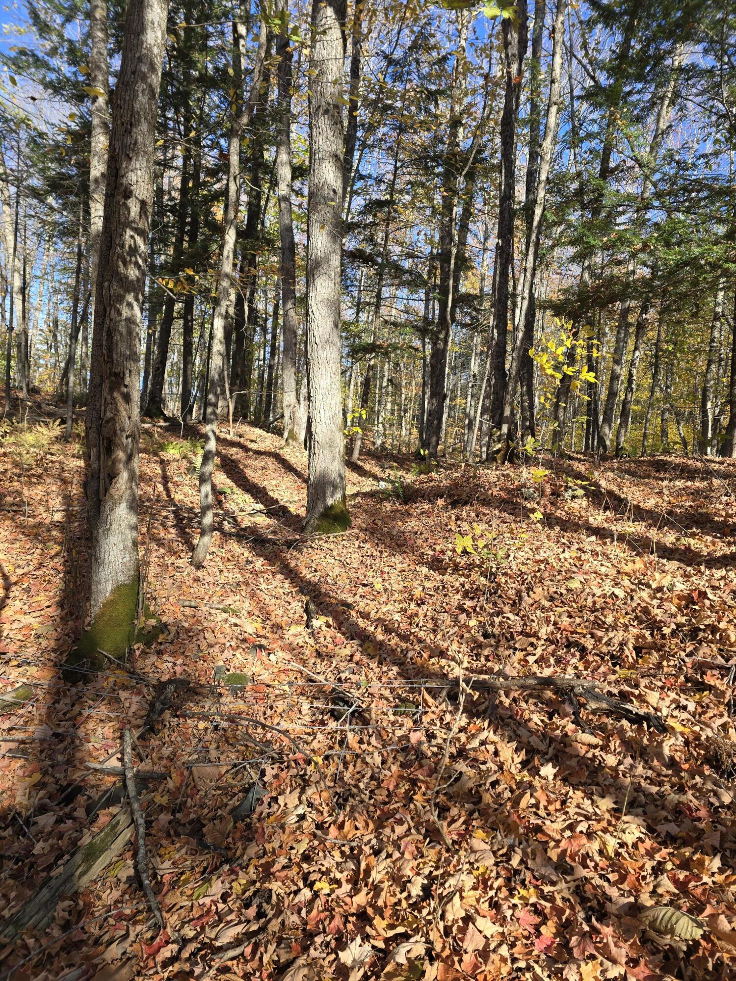 L49,50,53 Back Road Abbot ME 04406