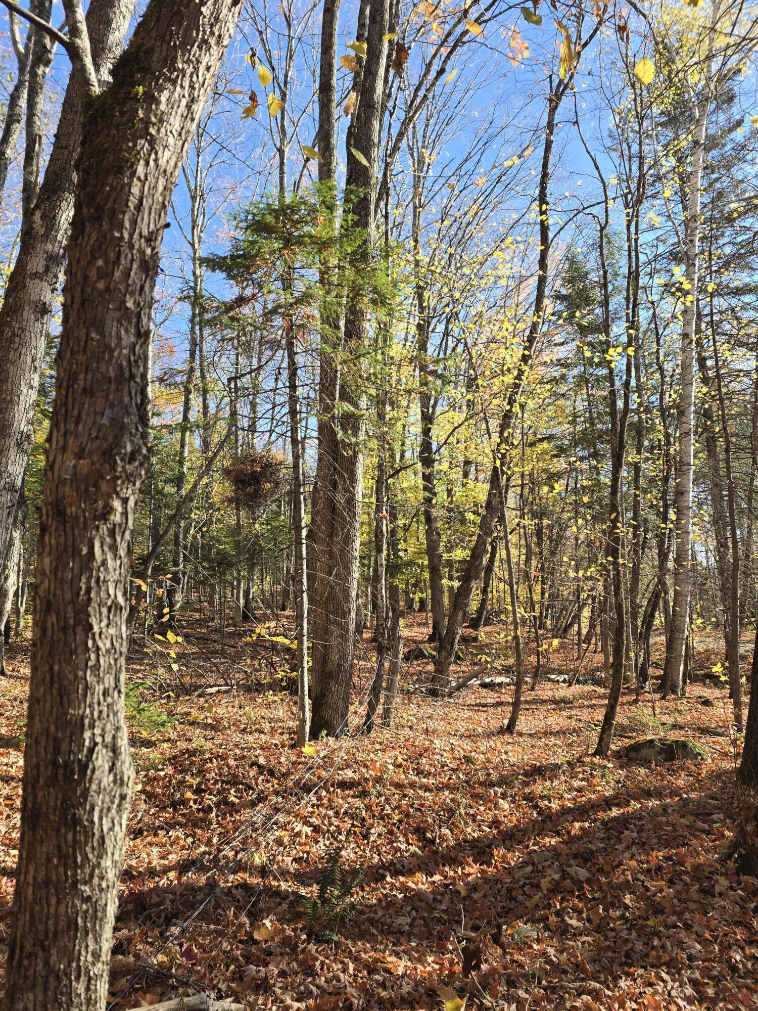 L49,50,53 Back Road Abbot ME 04406