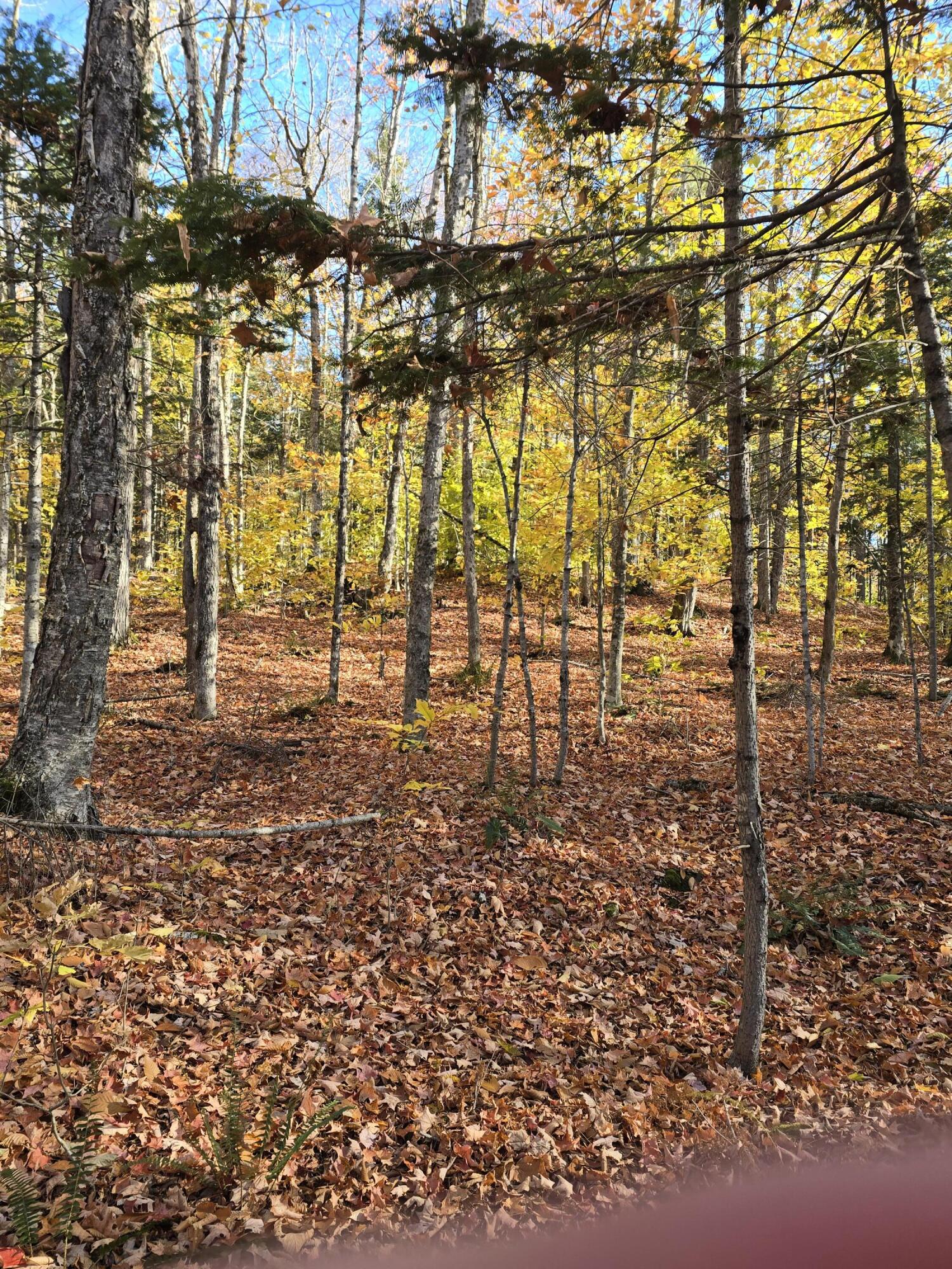 L49,50,53 Back Road Abbot ME 04406