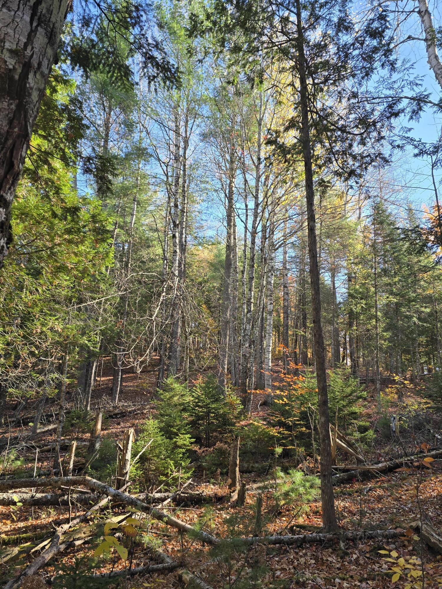 L49,50,53 Back Road Abbot ME 04406