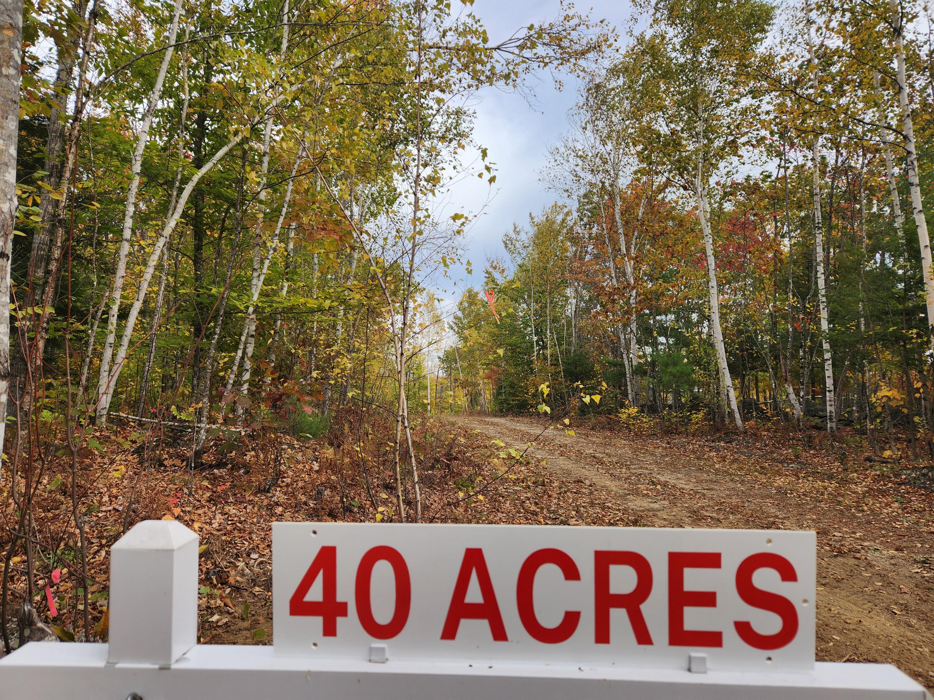 Lot C Fern Drive Buckfield ME 04220