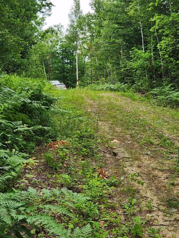 Lot C Fern Drive Buckfield ME 04220