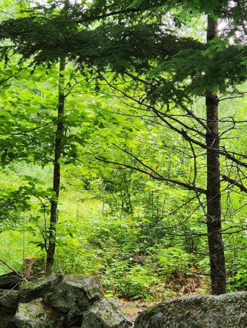 Lot C Fern Drive Buckfield ME 04220