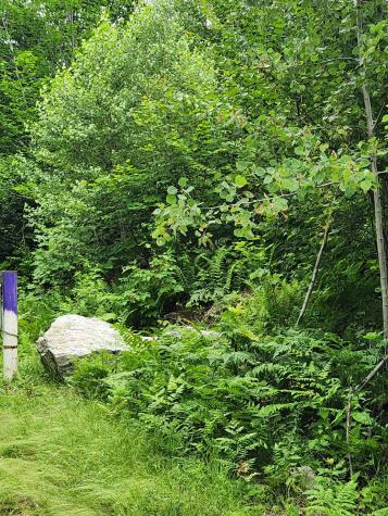 Lot C Fern Drive Buckfield ME 04220