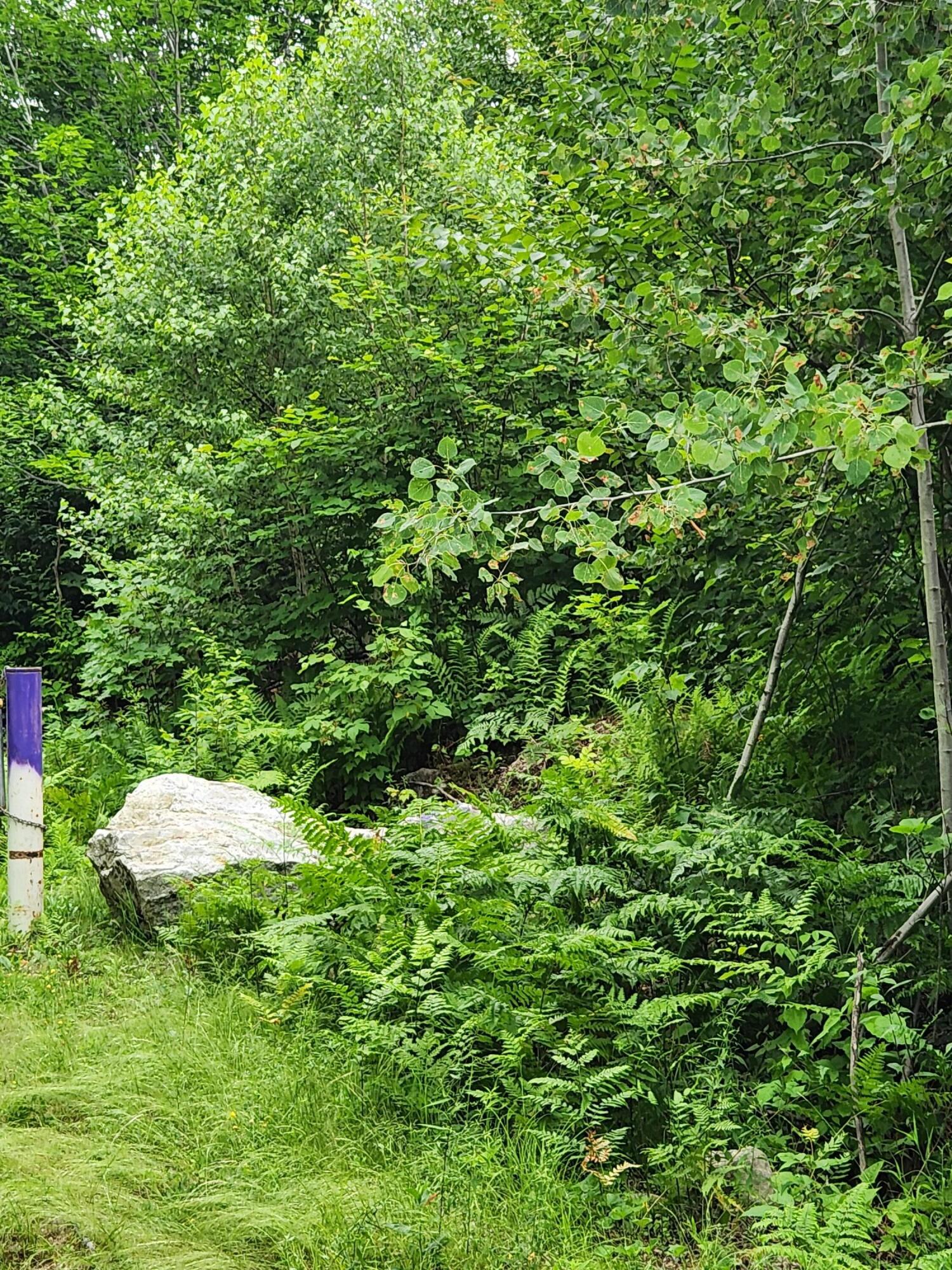 Lot C Fern Drive Buckfield ME 04220