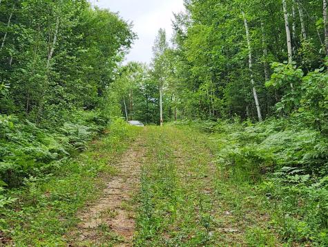 Lot C Fern Drive Buckfield ME 04220