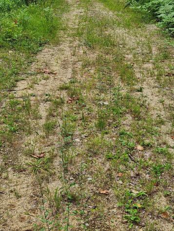 Lot C Fern Drive Buckfield ME 04220