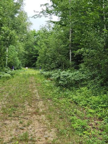 Lot C Fern Drive Buckfield ME 04220