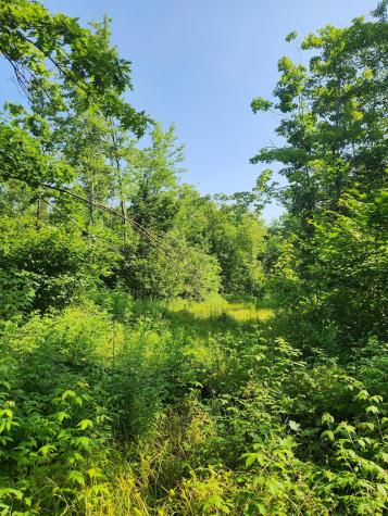 Lot C Fern Drive Buckfield ME 04220