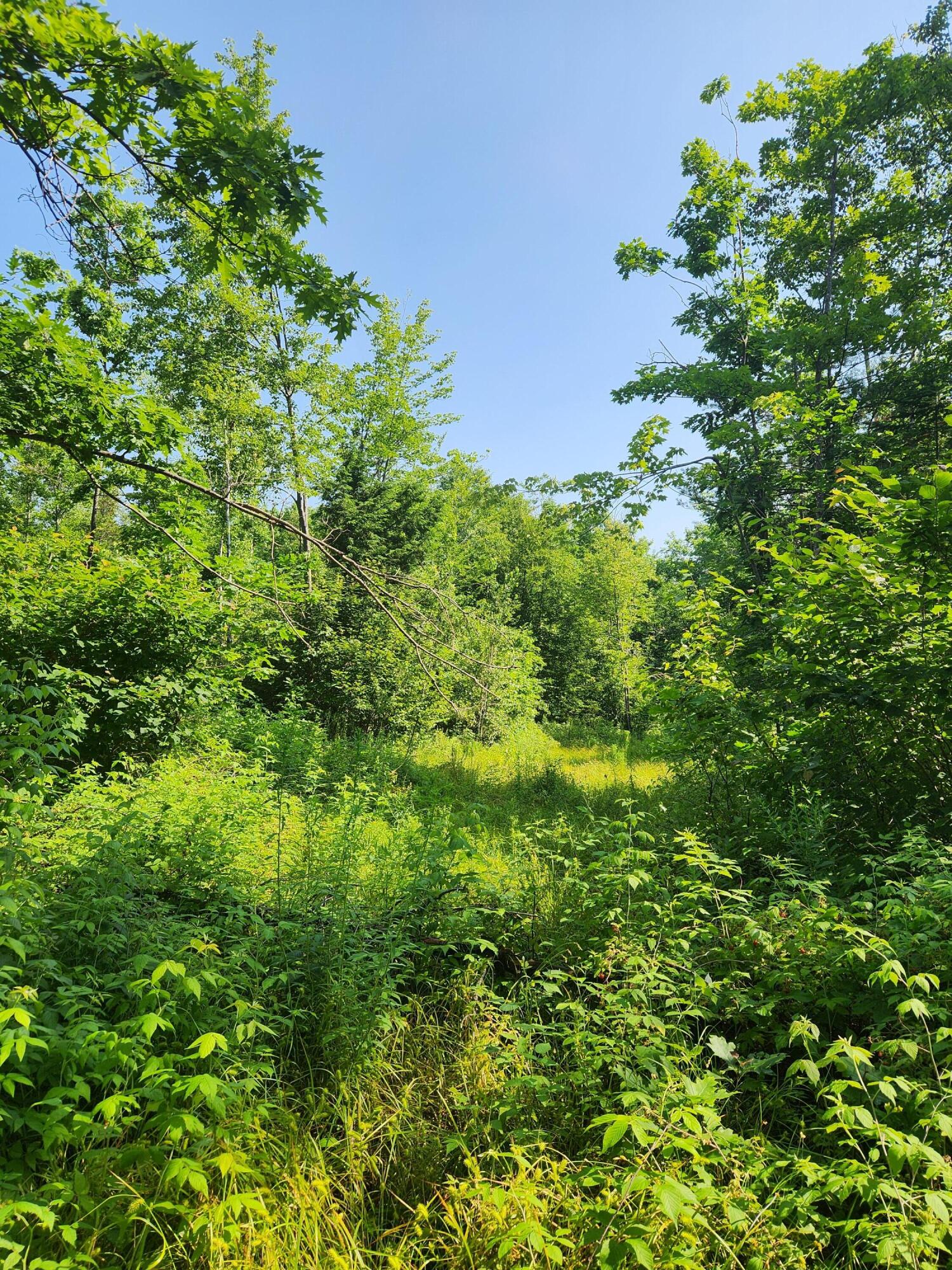 Lot C Fern Drive Buckfield ME 04220