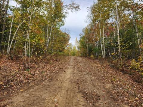 Lot C Fern Drive Buckfield ME 04220