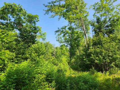 Lot C Fern Drive Buckfield ME 04220