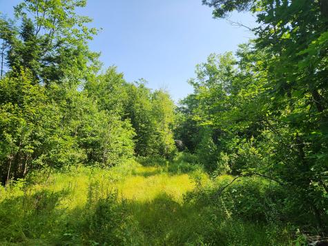 Lot C Fern Drive Buckfield ME 04220