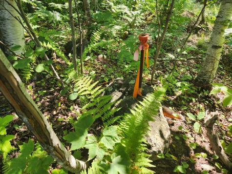 Lot C Fern Drive Buckfield ME 04220