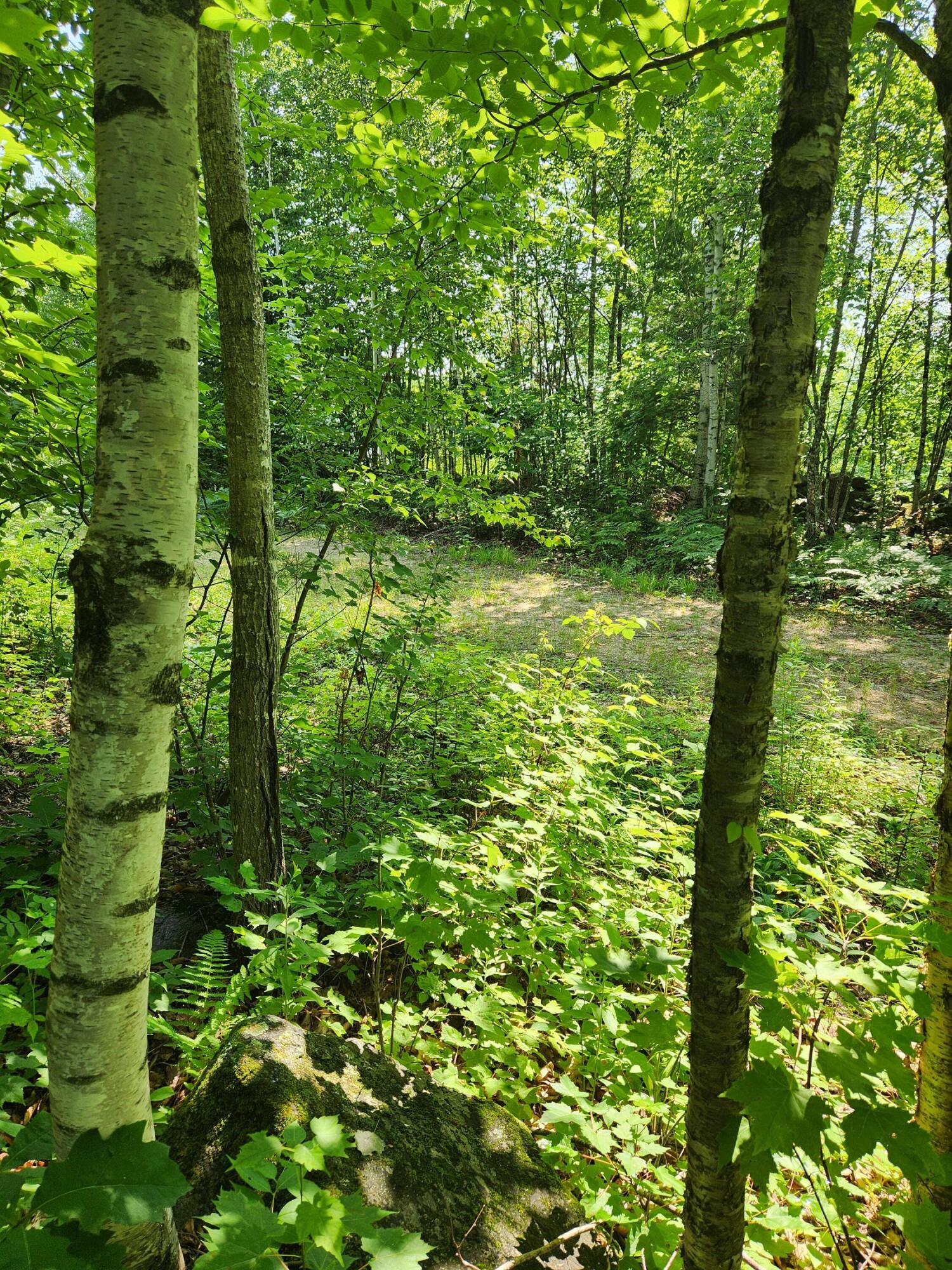 Lot C Fern Drive Buckfield ME 04220