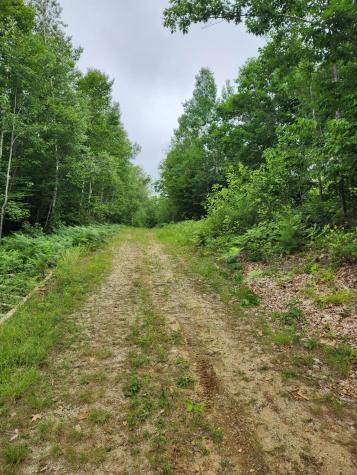 Lot C Fern Drive Buckfield ME 04220