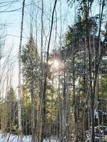 B-2BACKLOT Pioneer Path Aurora ME 04605