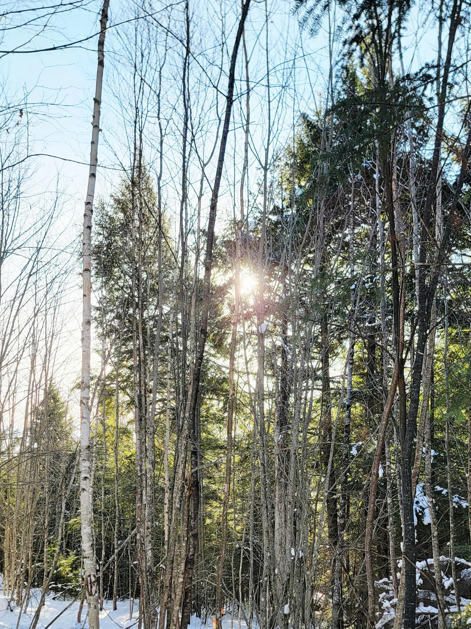 B-2BACKLOT Pioneer Path Aurora ME 04605