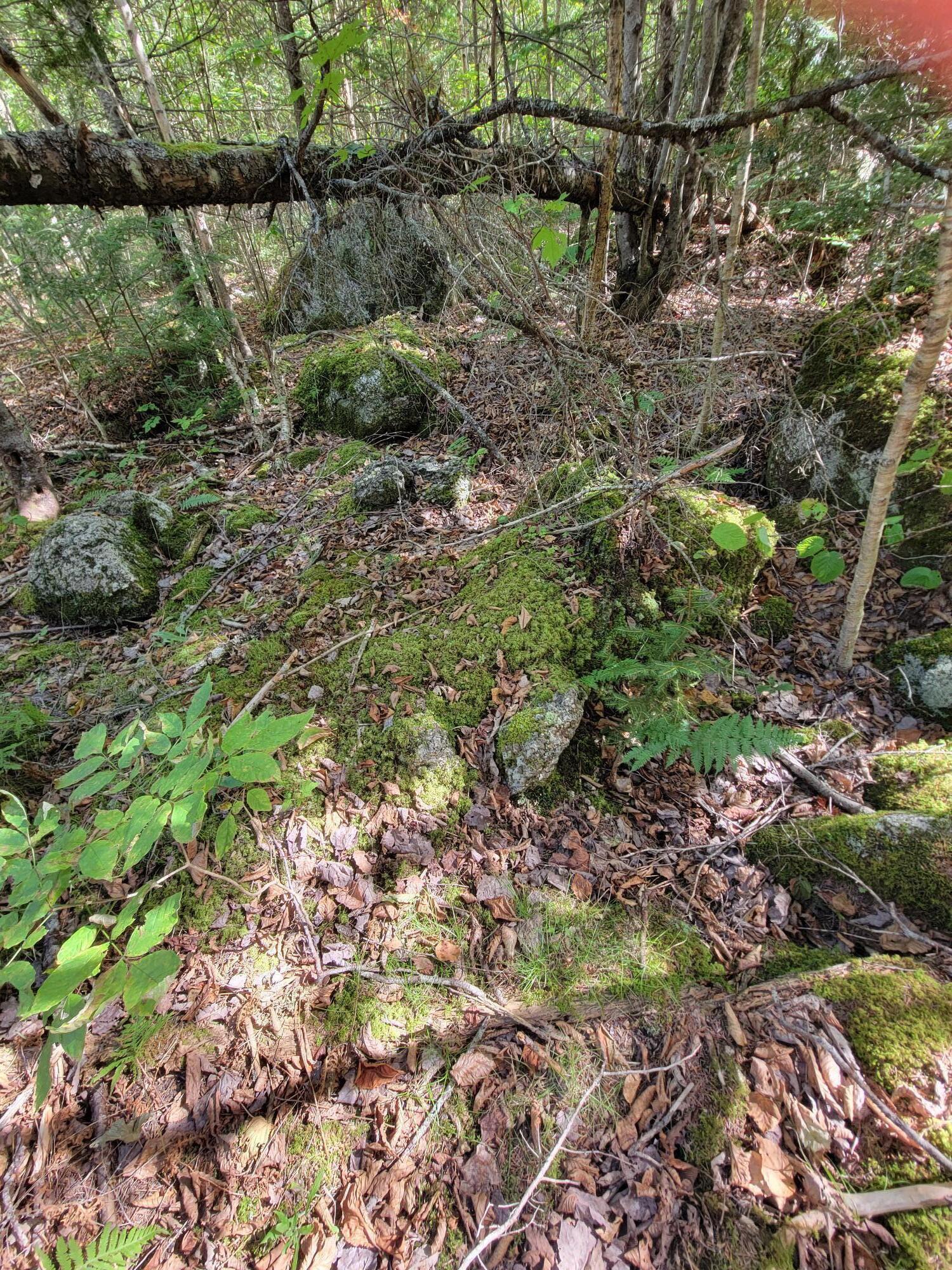 B-2BACKLOT Pioneer Path Aurora ME 04605