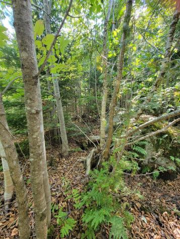 B-2BACKLOT Pioneer Path Aurora ME 04605