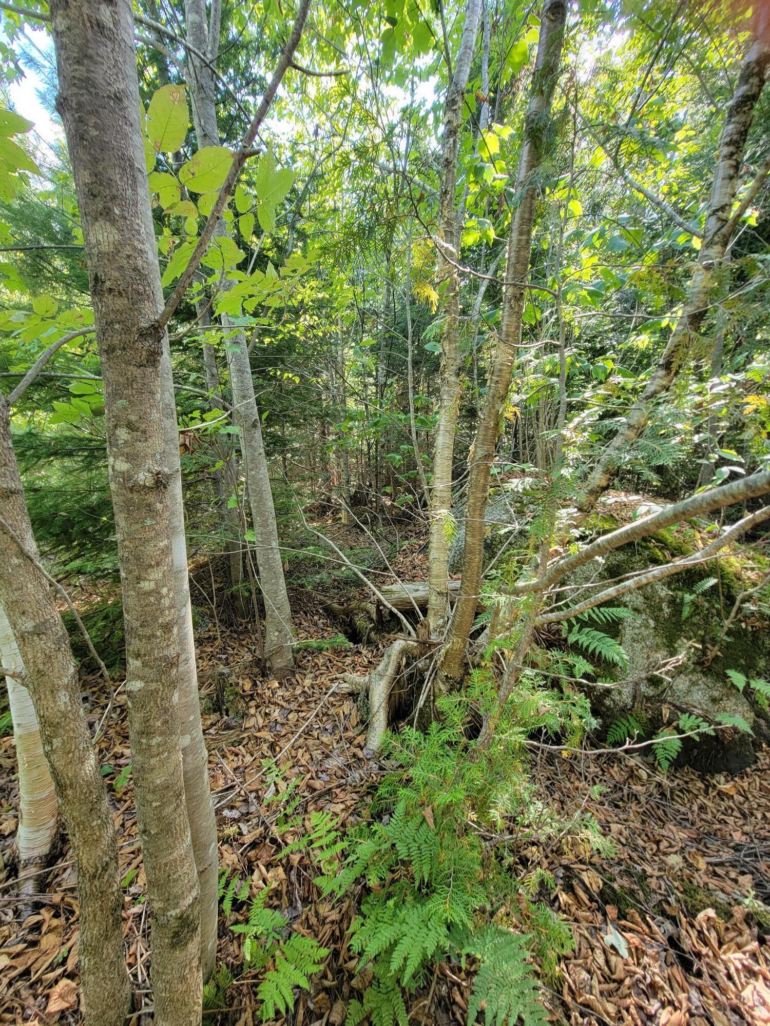 B-2BACKLOT Pioneer Path Aurora ME 04605