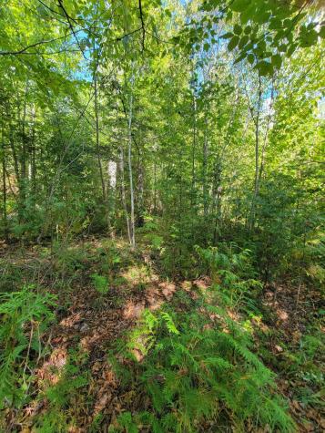 B-2BACKLOT Pioneer Path Aurora ME 04605