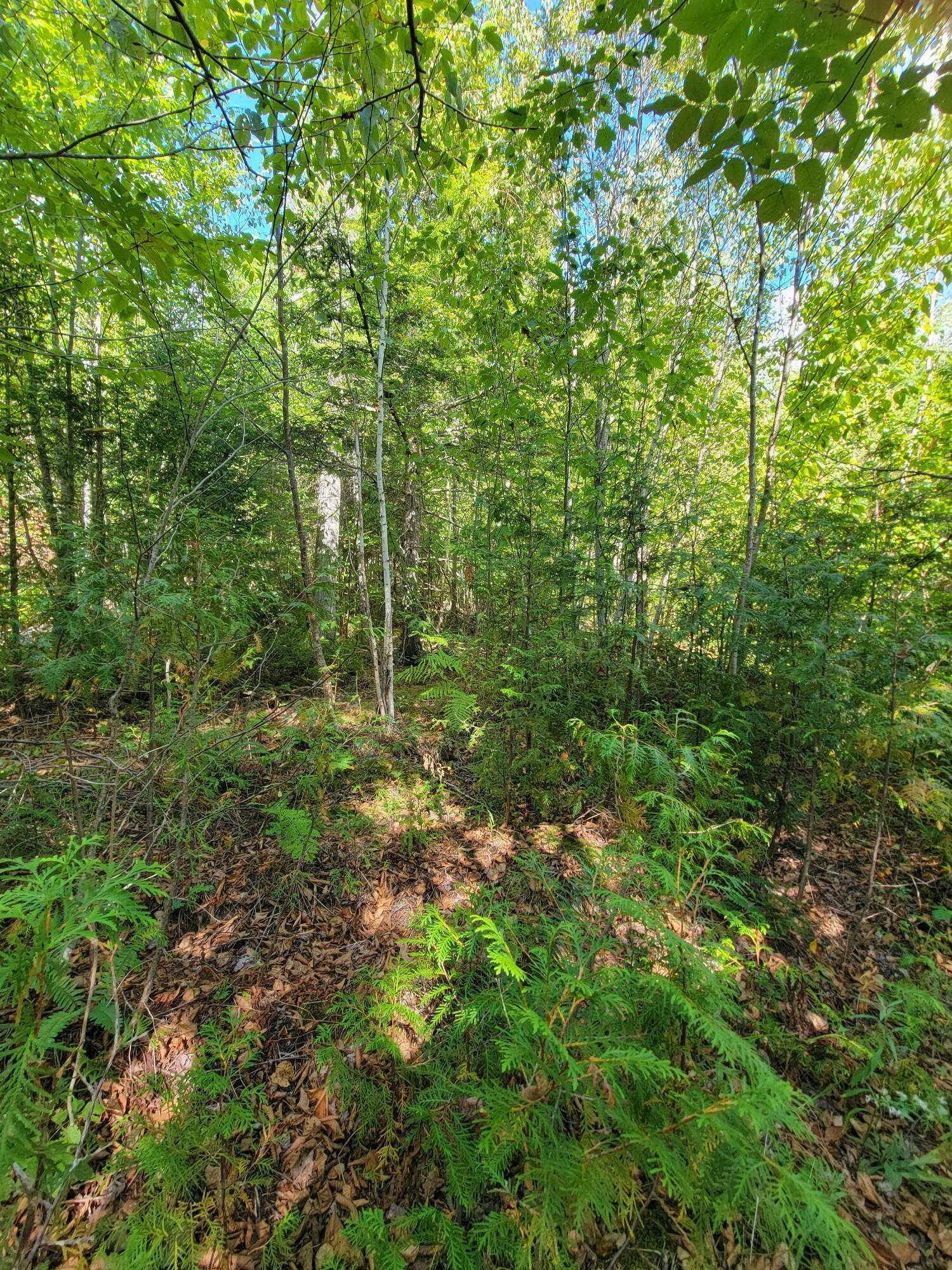 B-2BACKLOT Pioneer Path Aurora ME 04605