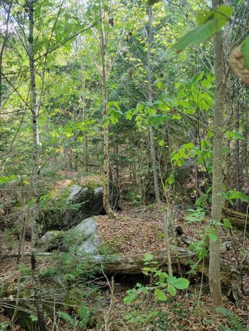 B-2BACKLOT Pioneer Path Aurora ME 04605