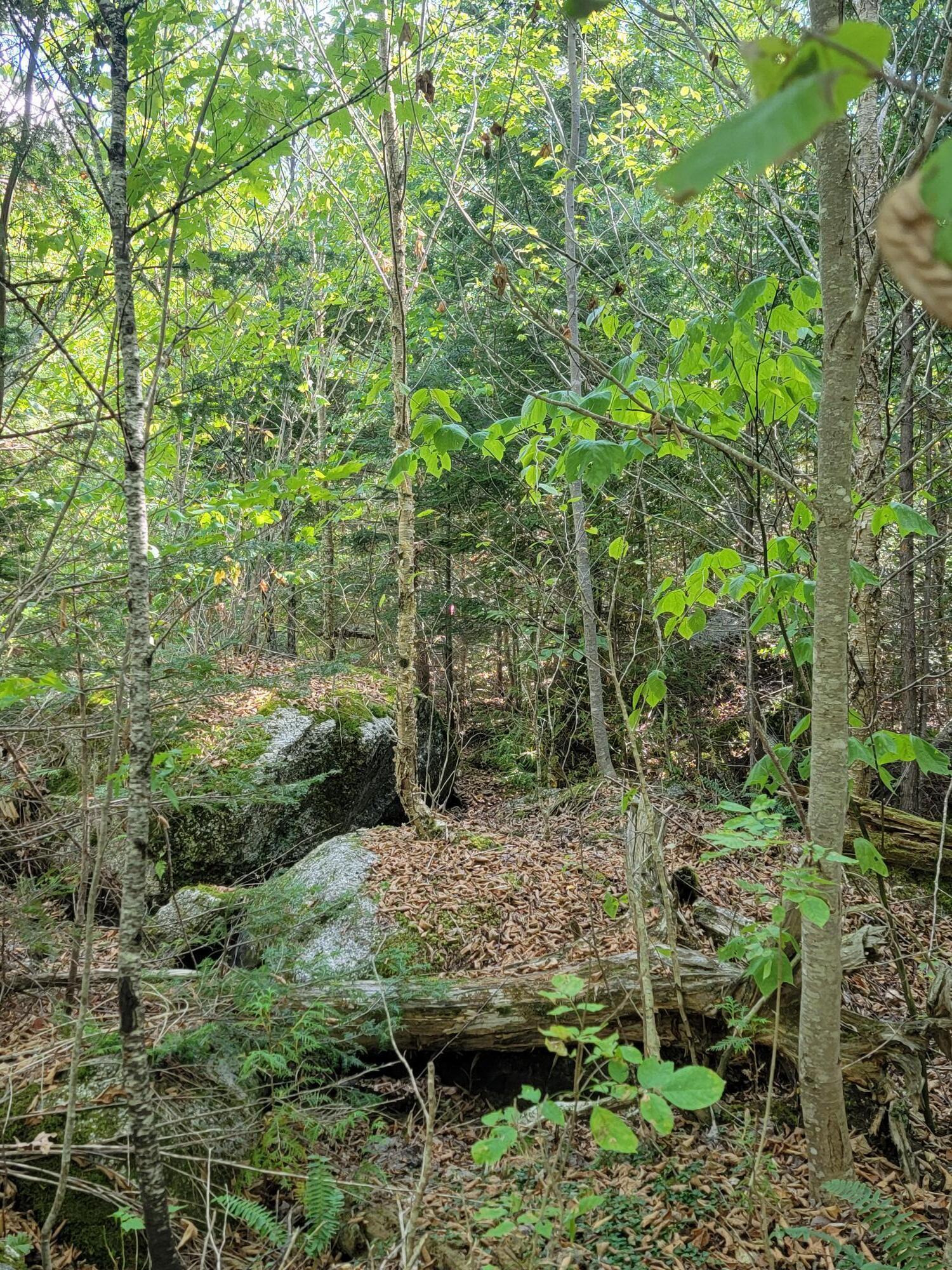 B-2BACKLOT Pioneer Path Aurora ME 04605