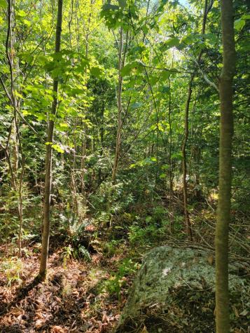 B-2BACKLOT Pioneer Path Aurora ME 04605