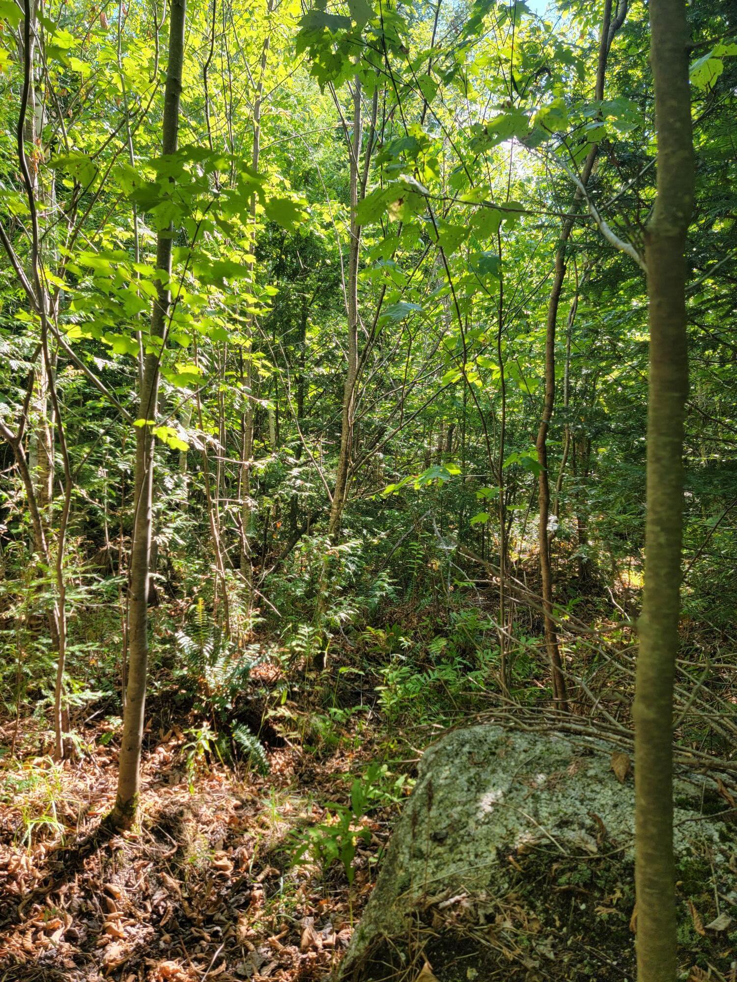 B-2BACKLOT Pioneer Path Aurora ME 04605