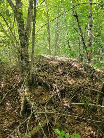 B-2BACKLOT Pioneer Path Aurora ME 04605