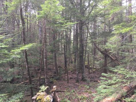 B-2BACKLOT Pioneer Path Aurora ME 04605