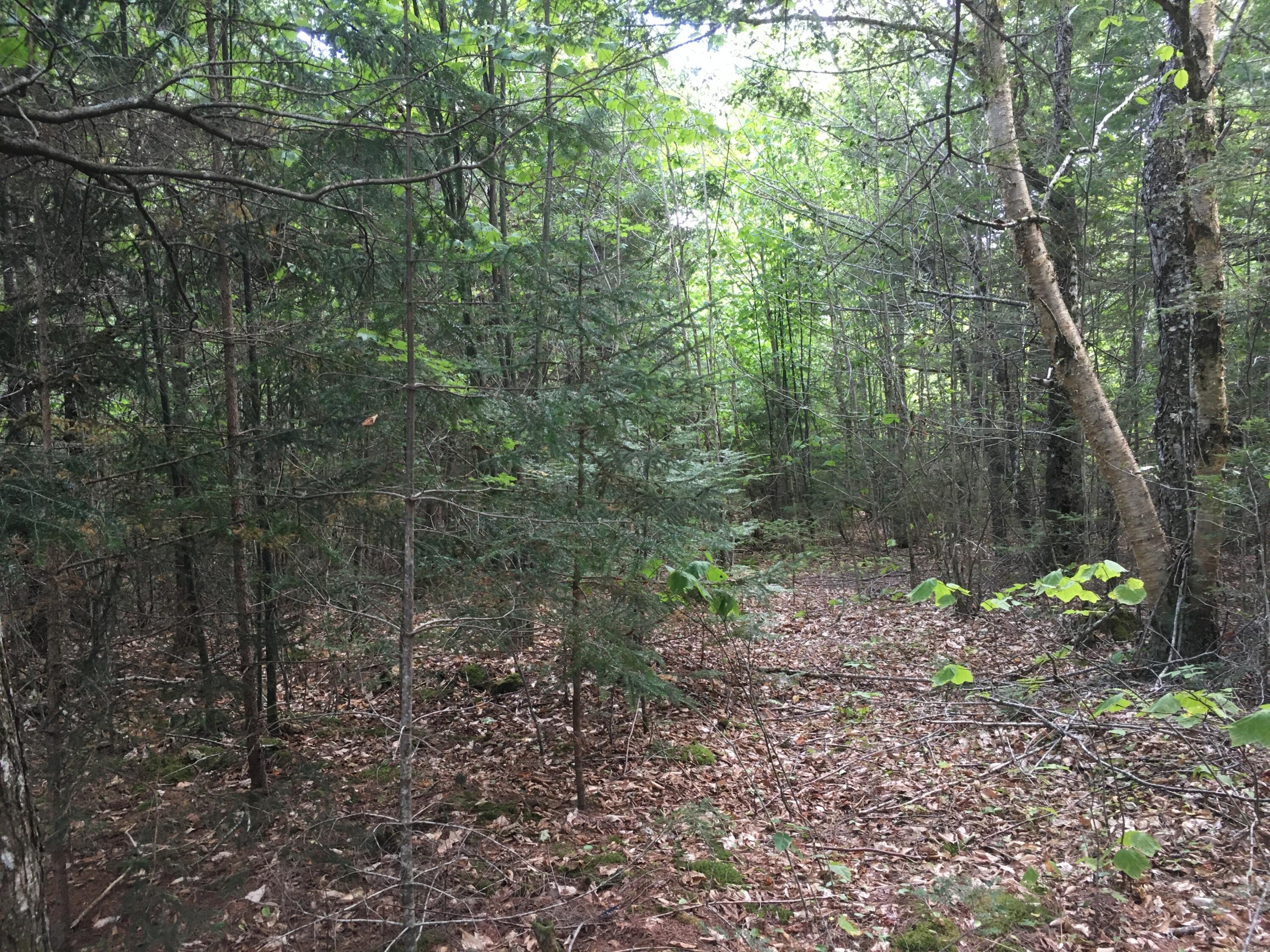 B-2BACKLOT Pioneer Path Aurora ME 04605