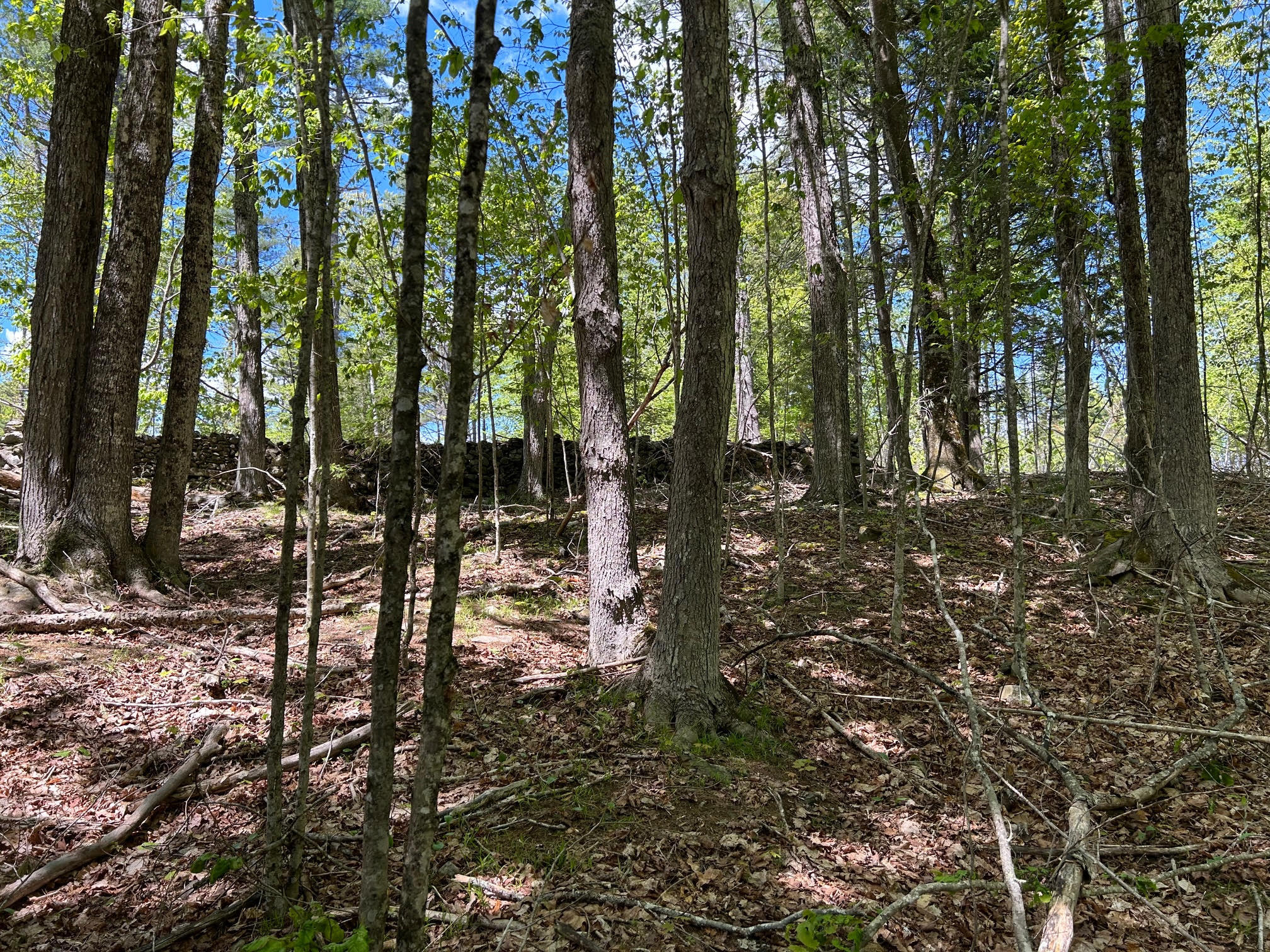 050-c-1 W Waldo Road Belfast ME 04915