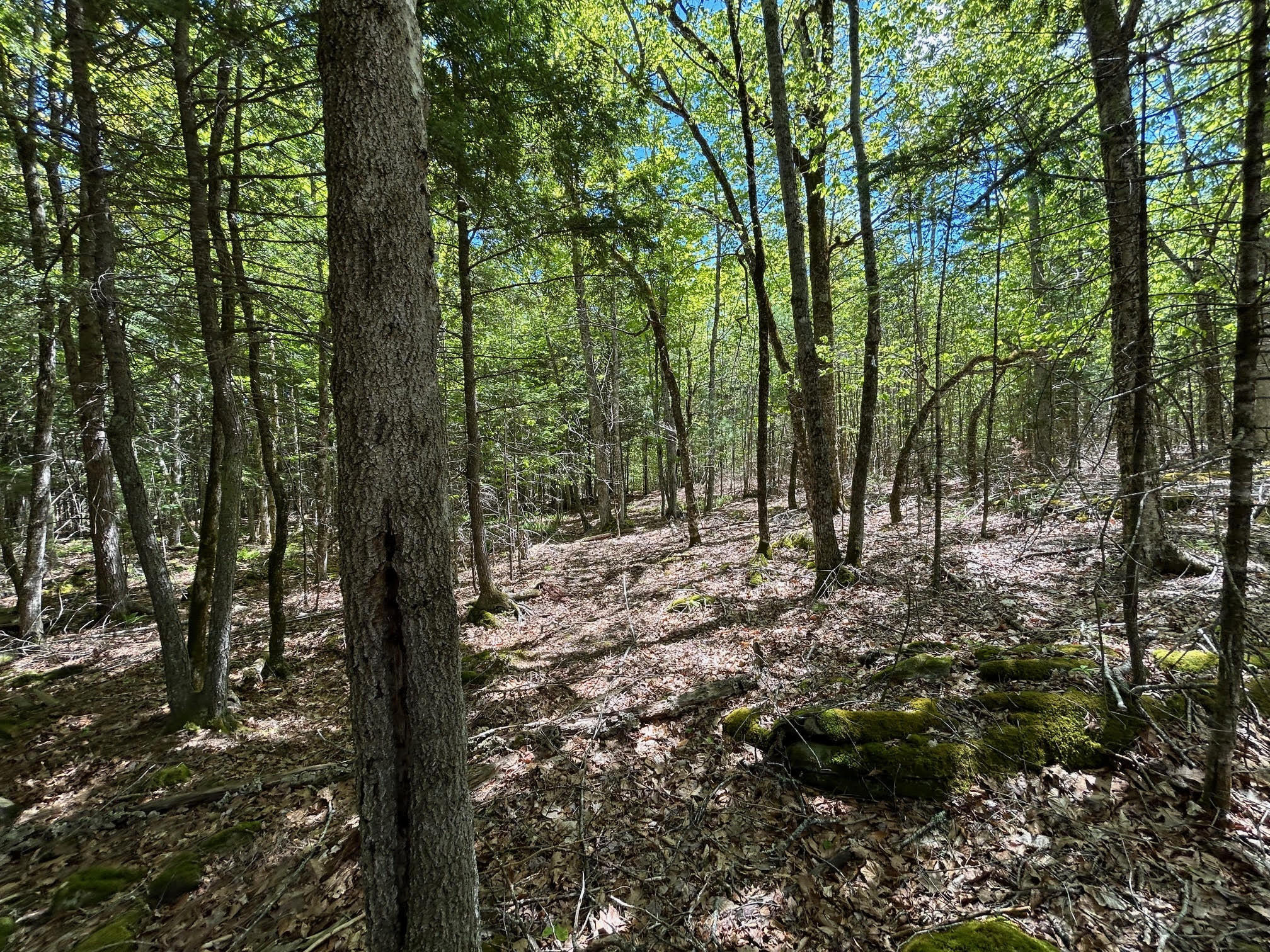 050-c-1 W Waldo Road Belfast ME 04915